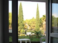 IMG 2548